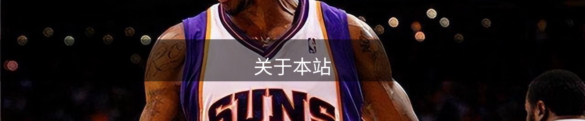 关于本站